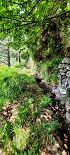 Plants: image 76 Of 208 Thumb